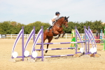 SBM_003442
