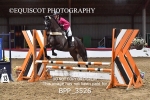 CLASS 10 Club/ Unaffiliated 80cms Open portfolio