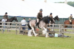 SBM_17649