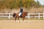 SBM_010531