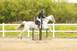 SBM_004378