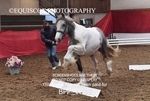 BPP_1288