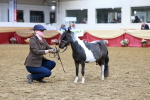 SBM_15737