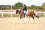 SBM_001862