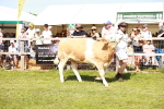 SBM_08366