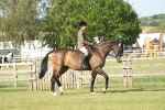 SBM_10238