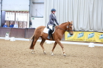 SBM_000979