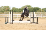 SBM_023029