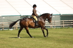SBM_12913