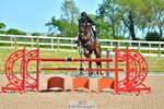 Cls 6 National 1.40m Open portfolio