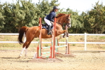 Class 1 - Clear Round portfolio