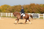 SBM_009299