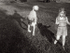 Running with Dogs
