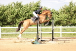 SBM_003511