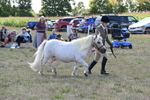 WJ6_4926