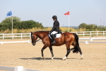 SBM_003388