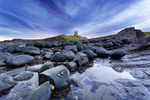 Dunstanburgh Morning 01