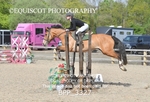 BPP_3327