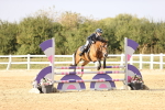 SBM_03891