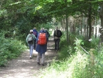 061 Starting out through Lodge Wood