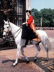 (E-140)  Trooping the Color