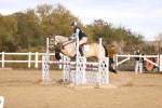 SBM_003946