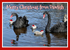 XM076 NEW 2026 - Xmas - Black Swan Family