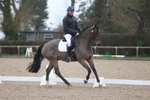 British Dressage portfolio