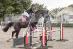 North Showjumping_2016-65