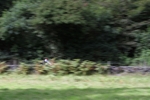 FOM_0689