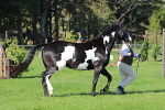 SIAL5709