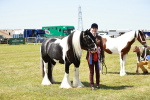 SBM_05523