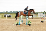 Class 19 - Senior Discovery - 1.00m portfolio