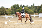 SBM_008870