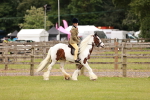 SBM_06199