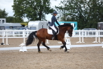 SBM_00464