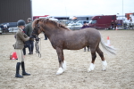 SBM_006399