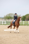 SBM_007216