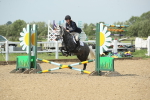 SBM_011311