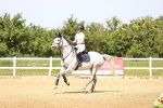 SBM_004701