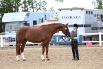 SBM_05061