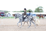 SBM_17167
