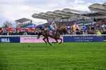 130326-Race 5-Gaelic Warrior-2650