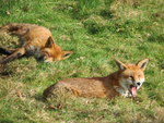 Chilling Out