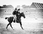 HOYVaz 250808-238bw