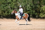 WJ6_7742
