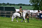 SBM_05884