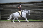 SBM_005994