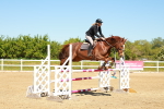 SBM_001177