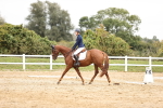 SBM_002765